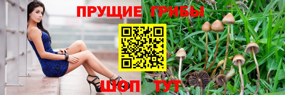 Батайск  Галлюциногенные грибы GOLDEN TEACHER  Вход с VPN  Галлюциногенные грибы Cubensis 